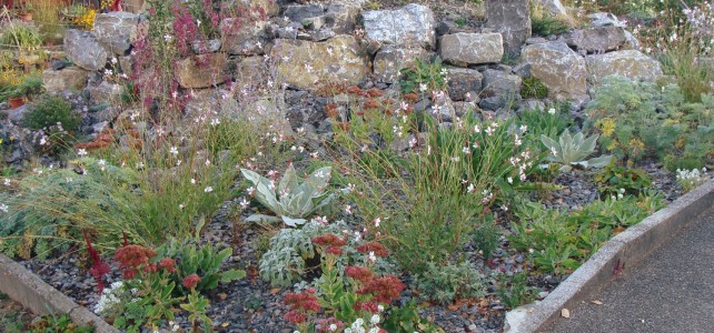 Naturnahes Steinhabität